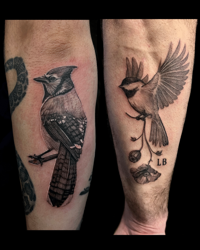 birds